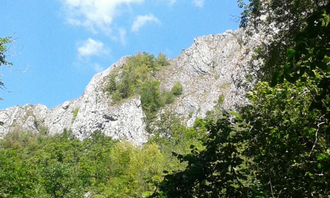 Katalin Kulcsoshaz Hotel Baile Chirui Luaran gambar
